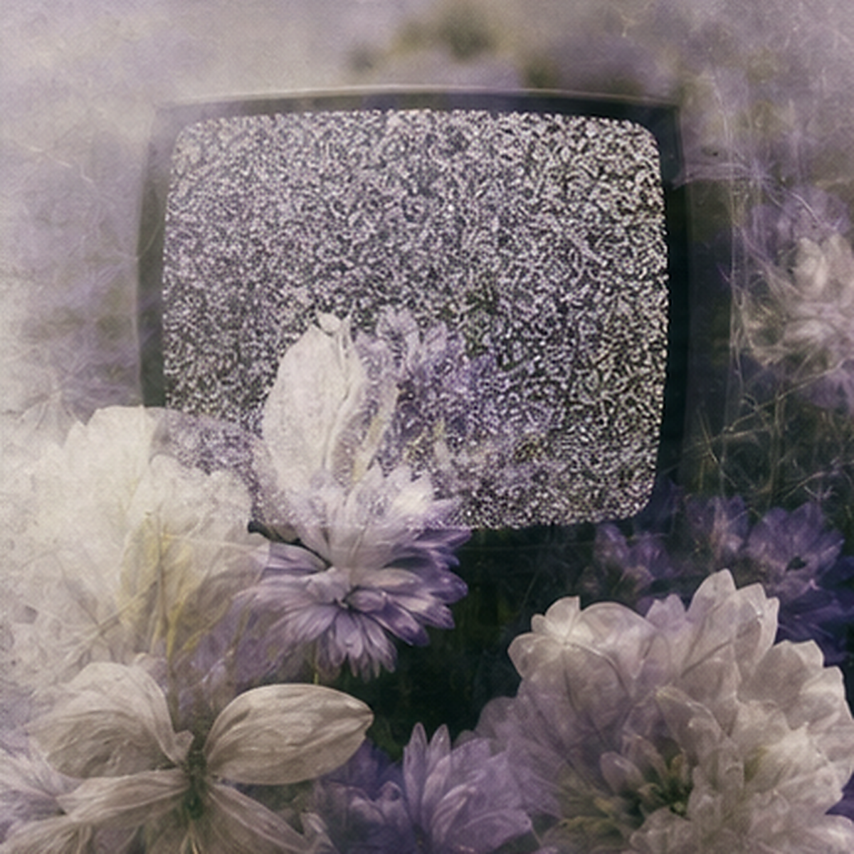 Static Bloom album artwork